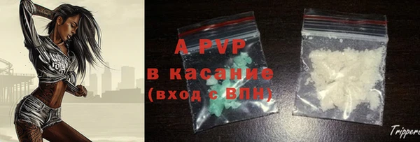 бошки Белокуриха