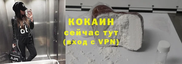бошки Белокуриха