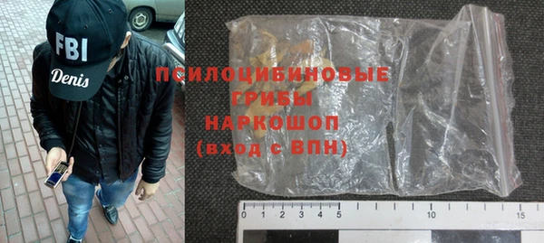 бошки Белокуриха