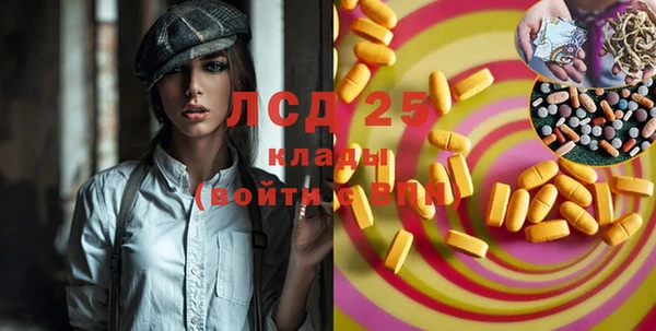гидра Тавда