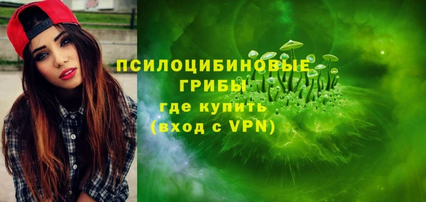 бошки Белокуриха
