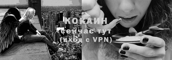 бошки Белокуриха