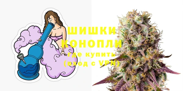 бошки Белокуриха