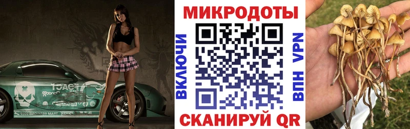 купить наркотики сайты  Вятские Поляны  Галлюциногенные грибы Psilocybine cubensis 