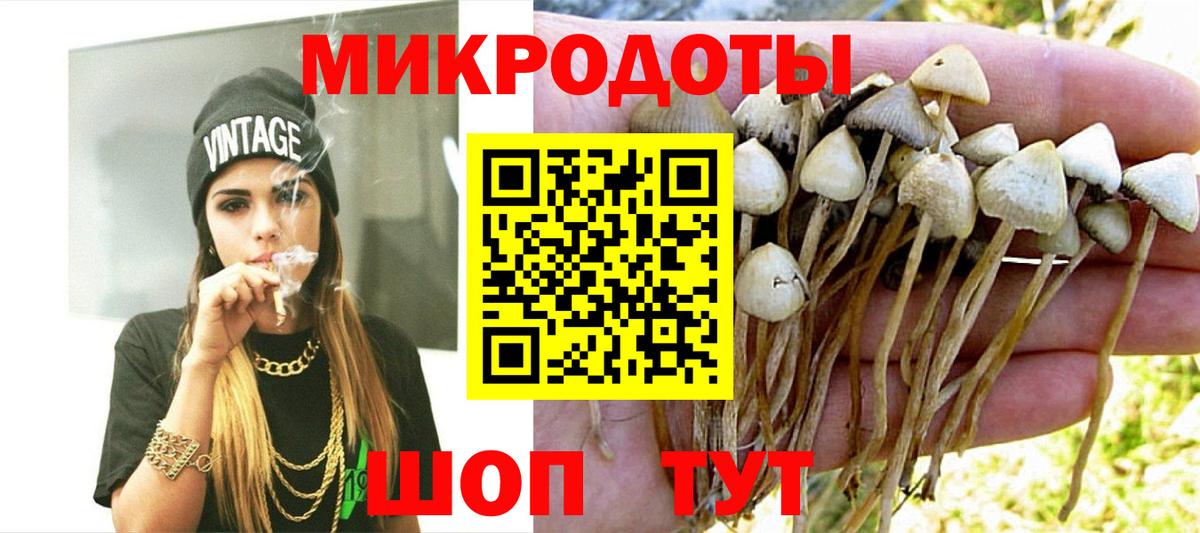 Вятские Поляны  Галлюциногенные грибы ЛСД  Галлюциногенные грибы мухоморы  Вход с VPN 